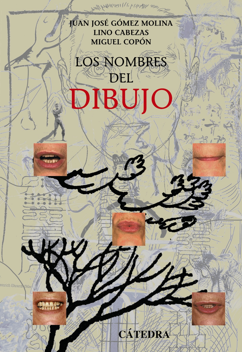 los nombres del dibujo