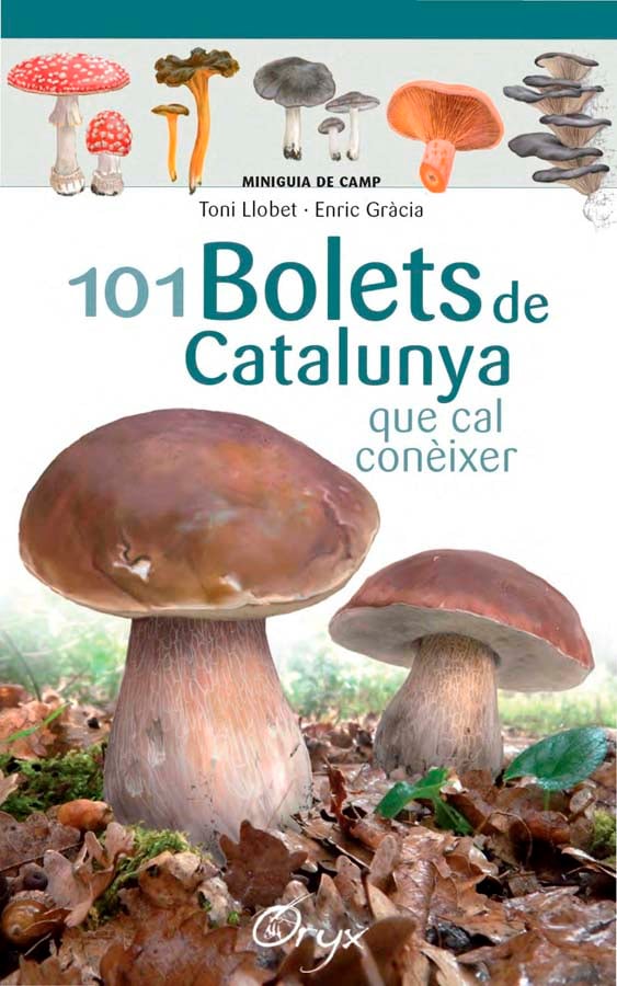 101 bolets de Catalunya que cal coneixer 101 bolets de Catalunya que cal coneixer