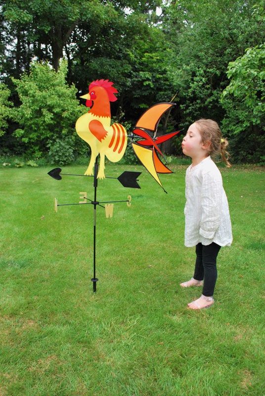 Veleta Gallo