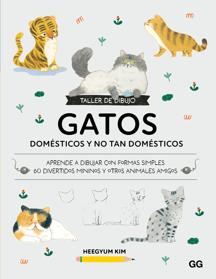 taller de dibujo gatos domesticos y no tan domesticos