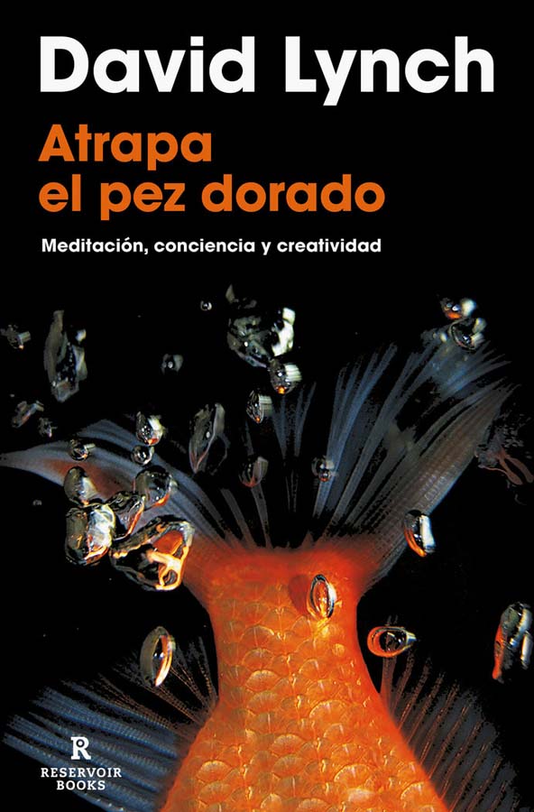 atrapa el pez dorado