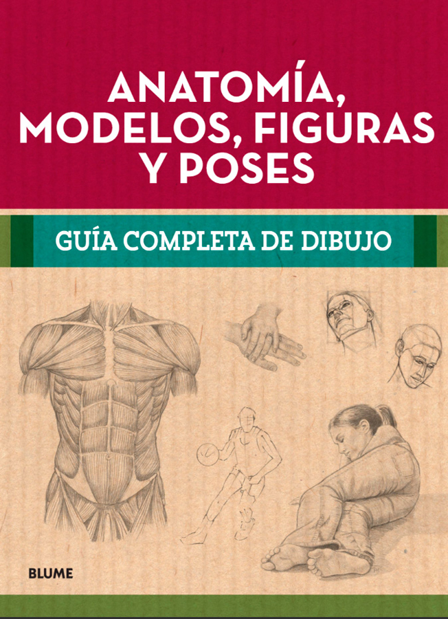 guia completa dibujo anatomia modelos figuras y poses
