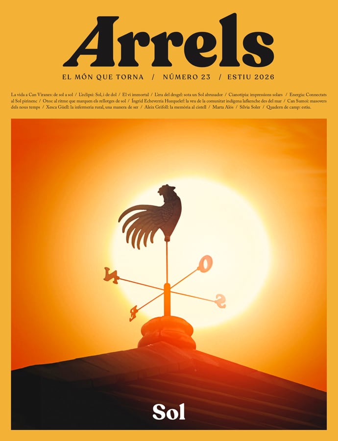 Arrels. El M&oacute;n que Torna 23 &ndash; Sol