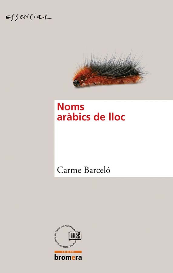 noms arabics de lloc