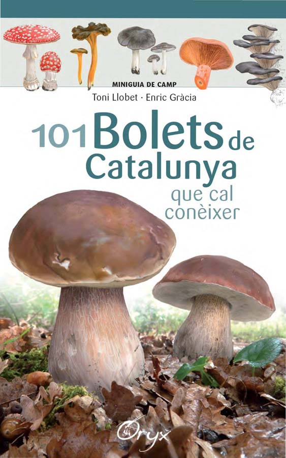 101 bolets de Catalunya que cal coneixer 101 bolets de Catalunya que cal coneixer