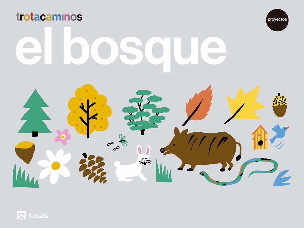 cae p4 el bosquetrotacaminos