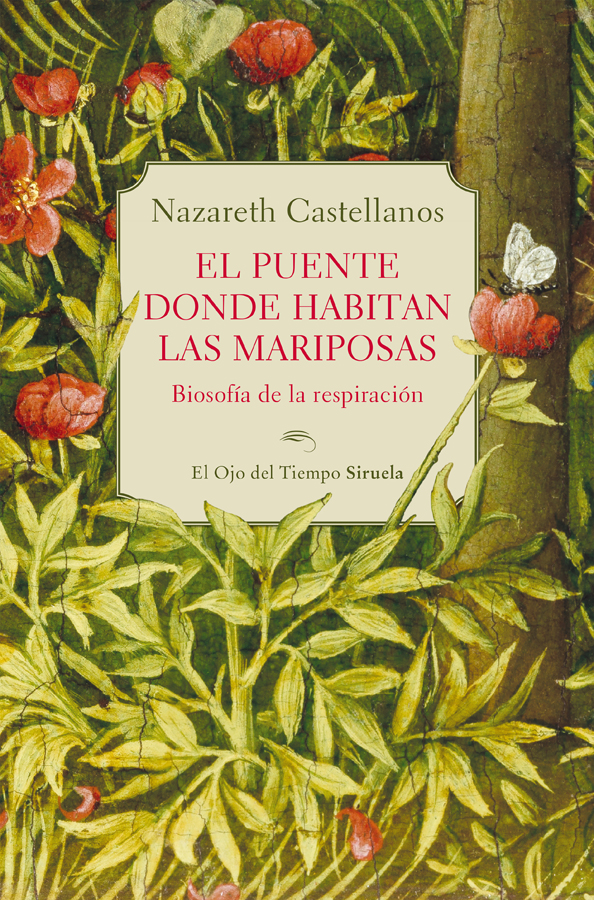 El puente donde habitan las mariposas El puente donde habitan las mariposas