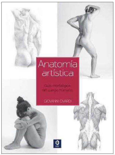 guia esencial del dibujo anatomia artist