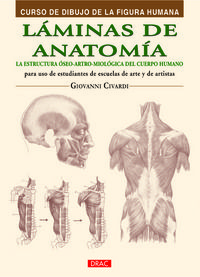 laminas de anatomia