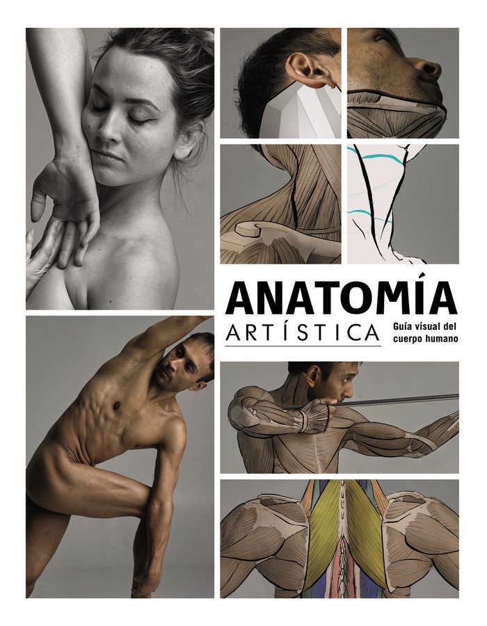 anatomia artistica