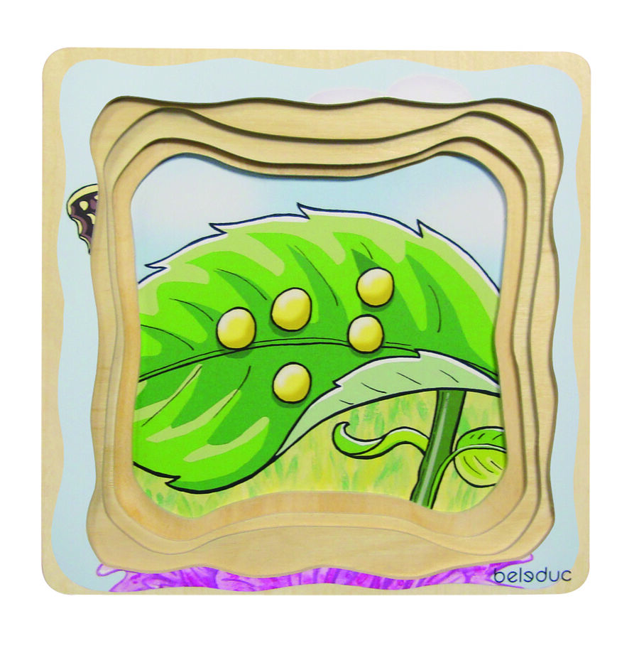 ENCAJE EVOLUTIVO MARIPOSA