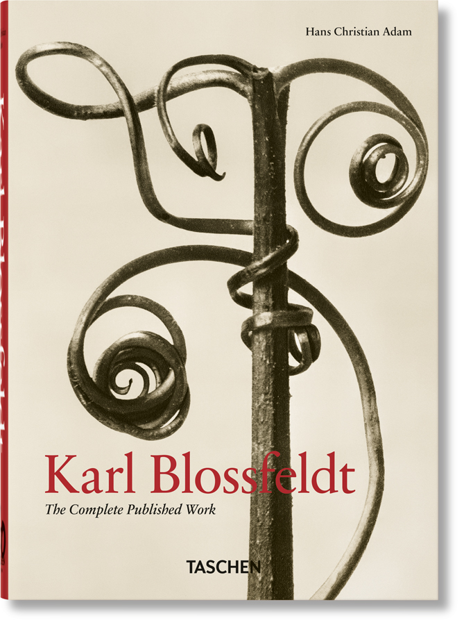 karl blossfeldt the complete published work 40th ed