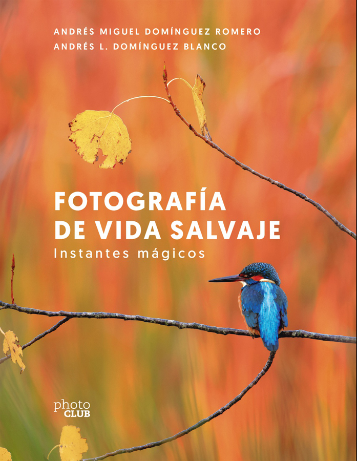 fotografia de vida salvaje instantes magicos