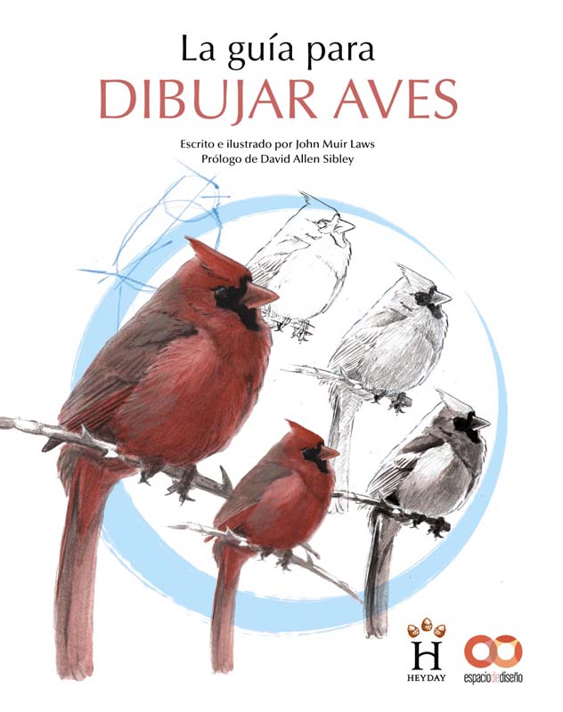la guia para dibujar aves