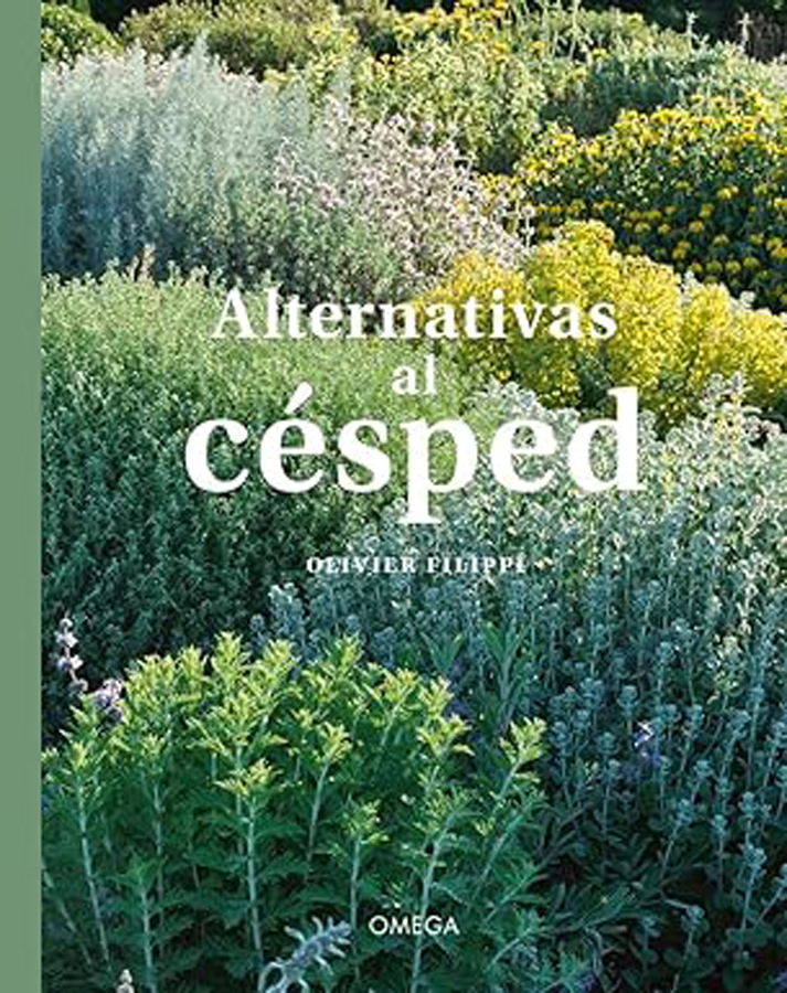 Alternativas al cesped