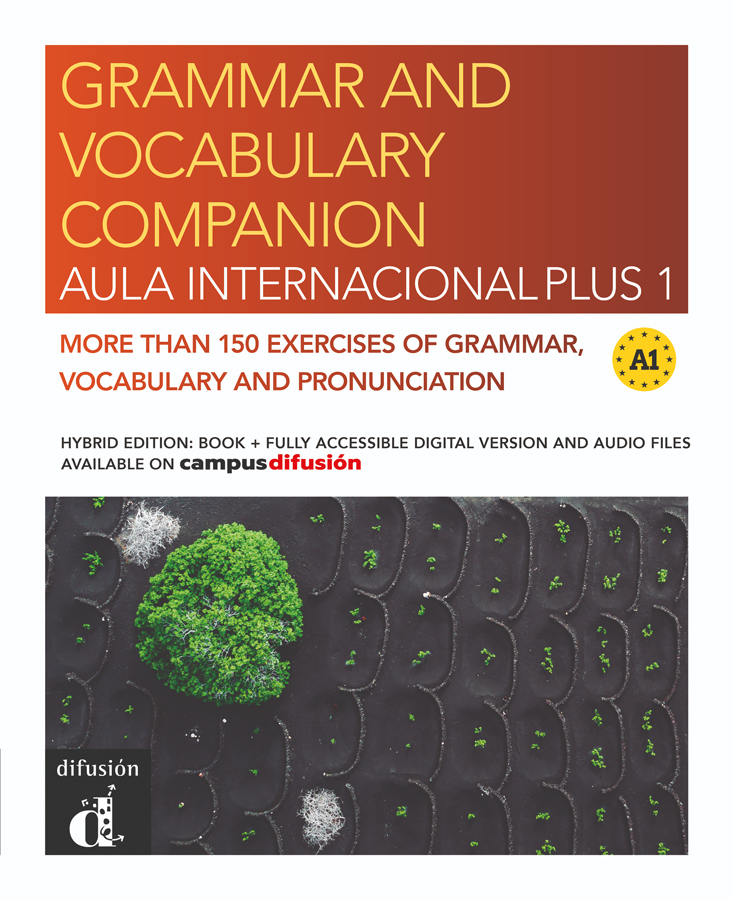 grammar and vocabulary companion aula internacional plus 1