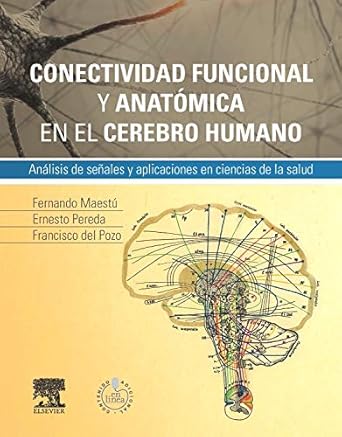 Conectividad funcional y anatómica en el