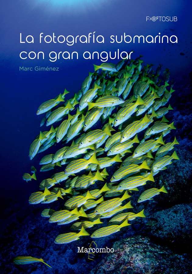 la fotografia submarina con gran angular